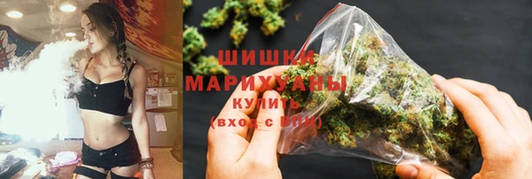 гашик Ладушкин