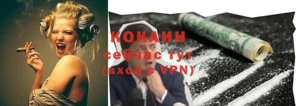 гашик Ладушкин