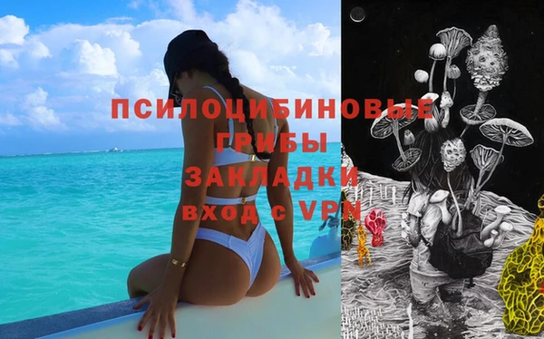 гидропоника Лагань