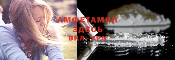 гашик Ладушкин