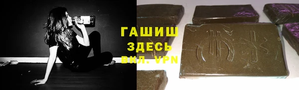 гашик Ладушкин