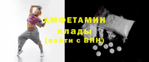 гашик Ладушкин