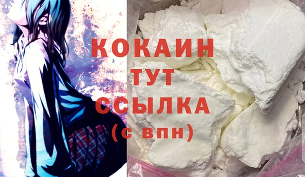 мдпв Лабытнанги
