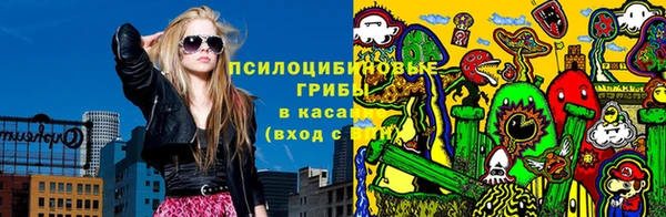 мдпв Лабытнанги