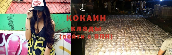 мдпв Лабытнанги