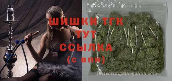 гашик Ладушкин