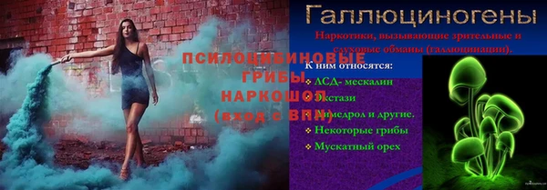 мдпв Лабытнанги