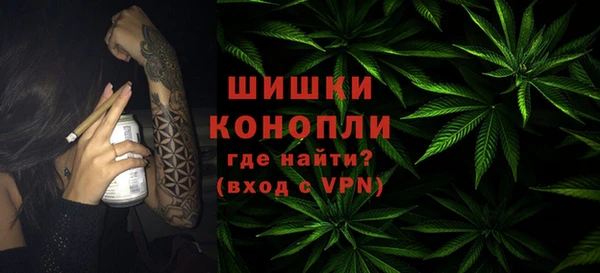 гидропоника Лагань